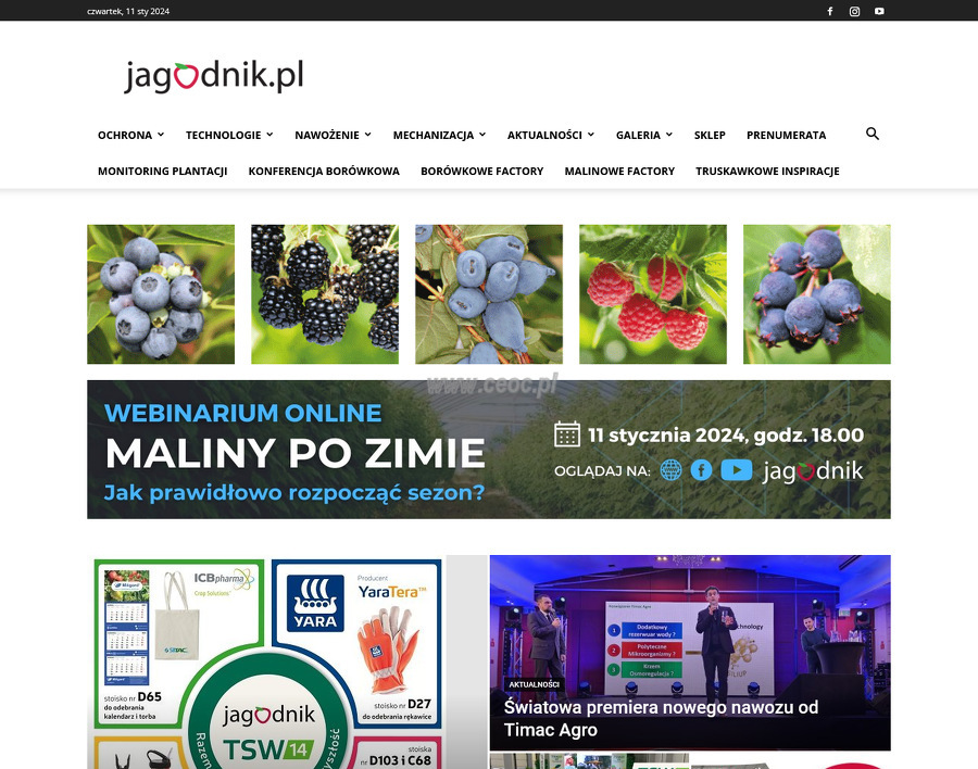 Jagodnik