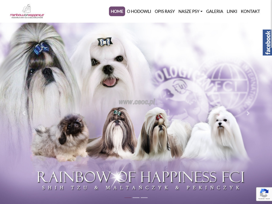 Rainbow Of Happiness